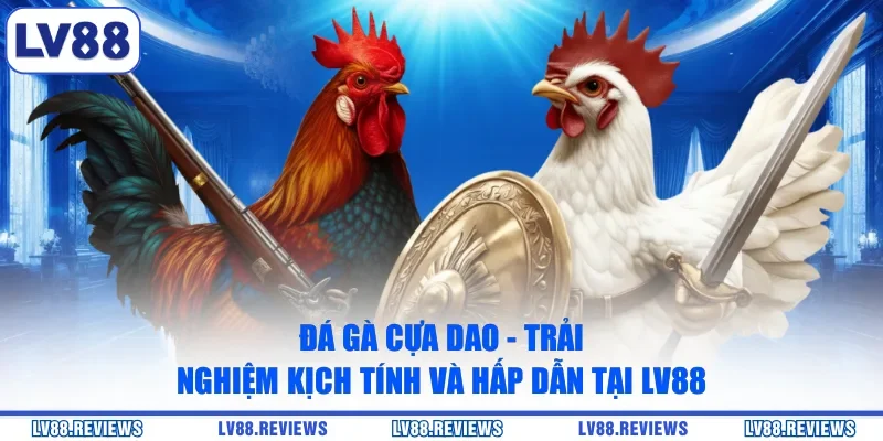 Đá Gà Cựa Dao - Trải Nghiệm Kịch Tính Và Hấp Dẫn Tại LV88