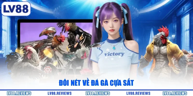 Đôi nét về đá gà cựa sắt
