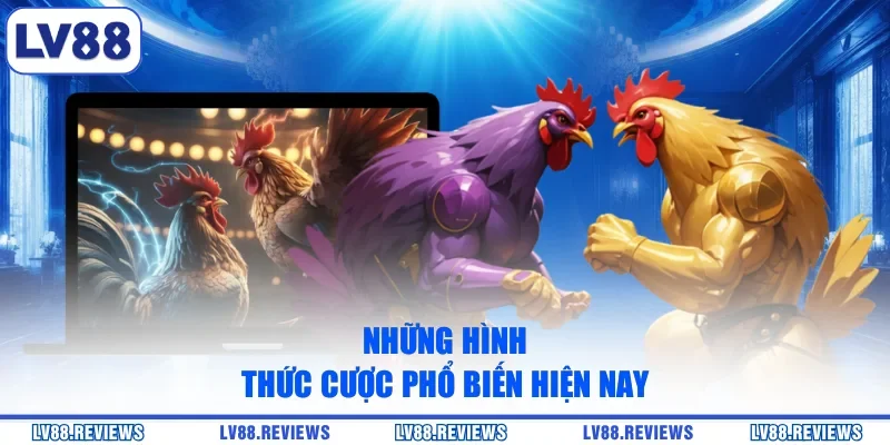 Những hình thức cược phổ biến hiện nay