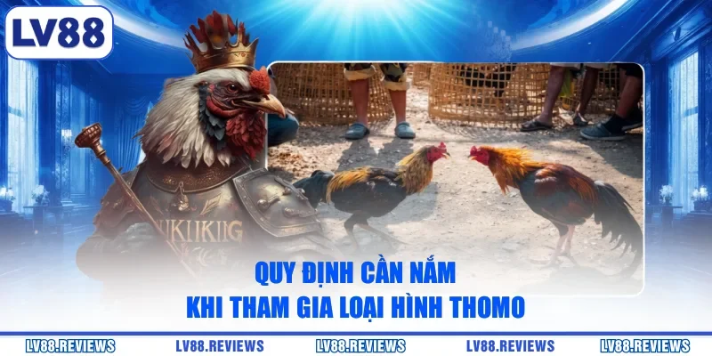 Quy định cần nắm khi tham gia loại hình Thomo