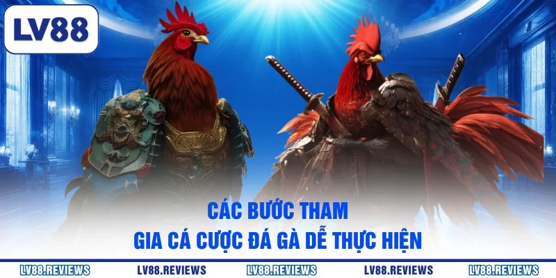 Các bước tham gia cá cược đá gà dễ thực hiện